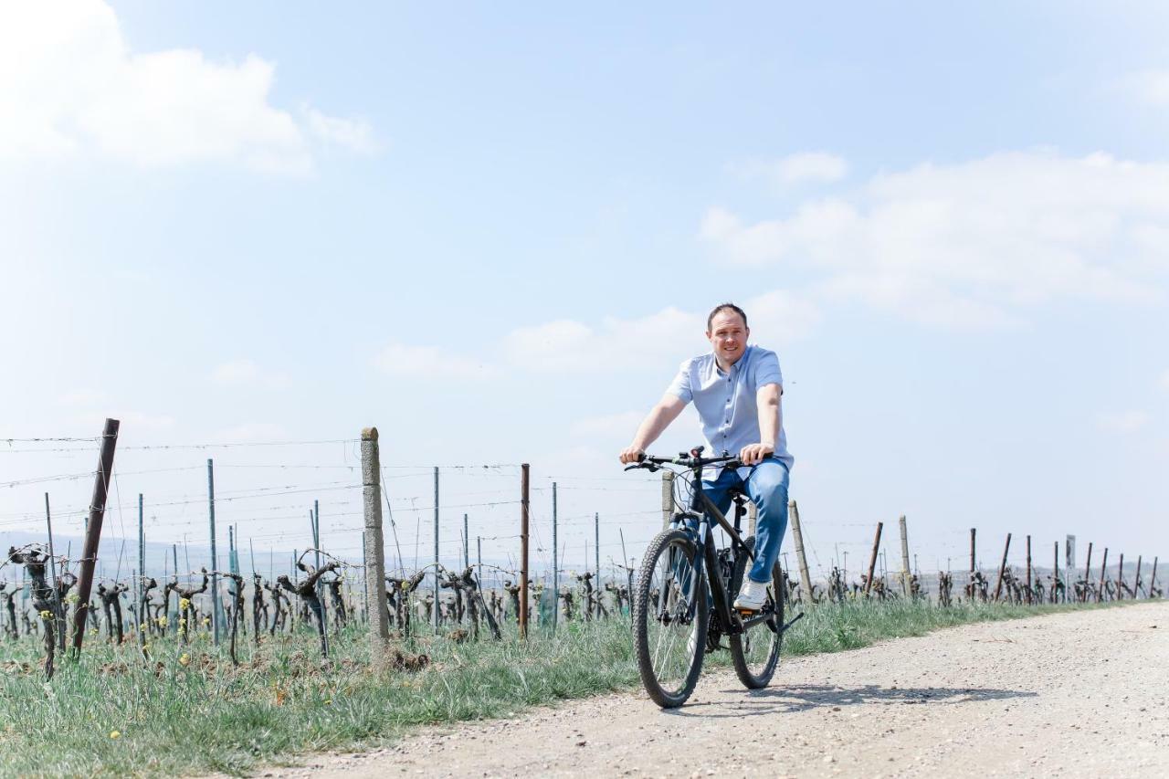 Vino Verde Poysdorf Ngoại thất bức ảnh